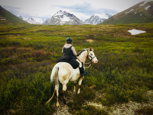 Backcountry horse trip into the Clearwater Mountains of Alaska